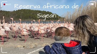 FRANÇA | Reserva africana de Sigean