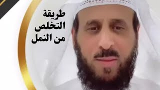 طريقة التخلص من النمل بعد التحريج +رؤيا غريبة/فهد القرني