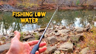 Fall BASS LOW WATER