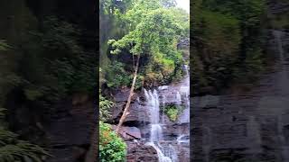 Jhari Waterfall !!     #shorts #shortsvideo #trending #nature #viral #travel #chikmagalur #waterfall