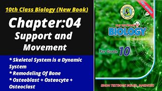 Skeletal system is a dynamic system | Biology class 10 chapter 4| Class 10 new biology book