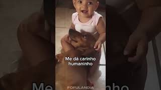 #animaisfofos #animais #animals #fofo #cuteanimals #animaisengraçados #funny #animal