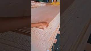 production plywood line