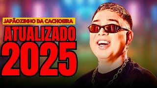 JAPÃOZINHO DA CACHOEIRA O BRAVO DOS PAREDOÊS ATUALIZADO REPERTÓRIO NOVO 2024