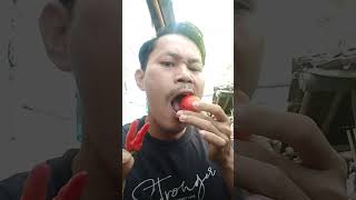 #shorts Makan tomat pake cabe rawit