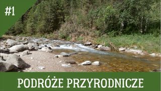 PODRÓŻE PRZYRODNICZE #1   W Dolinie Kościeliskiej