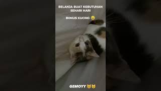 BONUS KUCING 😂