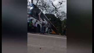 bus se va al abismo