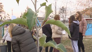 Кожній школі – фруктовий сад!