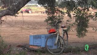 Chiamami Padrone - Raccolta