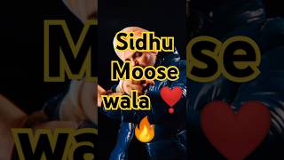 Umar de hisab nal Duna rutba 😎 #rip #riplegend #sidhumoosewala #trending #legend #viral #mossewala