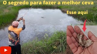 lagoa tomada por vegetação ideal para pesca de tilapia selvagem #natureza