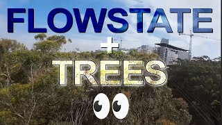 DJI Avata - 1 Drone vs 1,000 Trees - FPV Fun Flow State