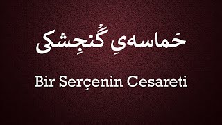 Bir Serçenin Cesareti   /   حماسۀ گنجشکی