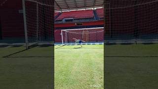 ENTREI NO GRAMADO DO ESTÁDIO DO BRASIL DE PELOTAS #shorts