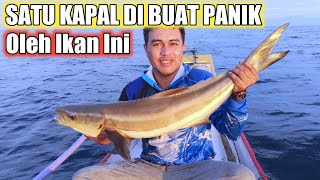 Mancing Ikan Cobia Menggunakan Tehnik Dasaran