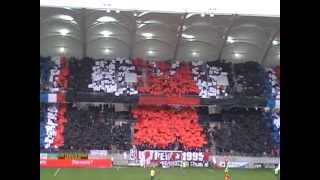 Stade de Reims-Saint Etienne, 17/02/2013 tifo des Ultrems