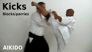 Aikido blocks/parries against different KICKS, by Stefan Stenudd in 2010