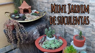 Mini Jardim de suculentas - passo a passo