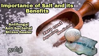 Salt importance and its benefits | Best home remedy For Aquarium Fish | Aquapets & Farm