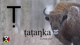 Daḳota Oie kiƞ Tóḳedḳed Eyapi - Dakota Alphabet - Ṭ