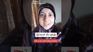 how to say in Lebanese Arabic "fuddy_ duddy"#lebanesetigermum#shorts