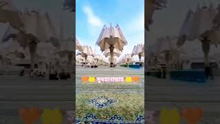 #সুবাহানআল্লাহ#সোনার মদিনার ছাতা খোলার দৃশ্য #islamicvideo #shortsfeeds #shorts#viralshorts