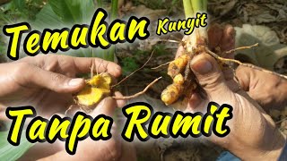 Potensi alam || manfaat Kunyit dan tanaman Herbal lainya