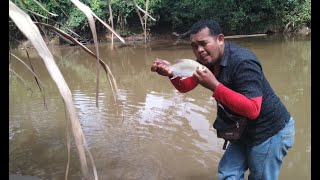 UMPAN JITU MANCING IKAN TAWES