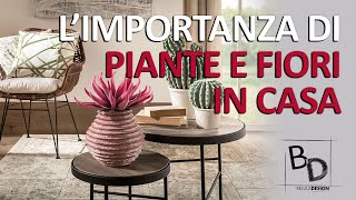 L'IMPORTANZA DI AVERE PIANTE E FIORI IN CASA | Belula Design