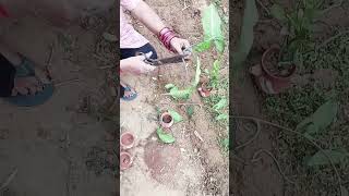 Karwa ko bekar samajh kar na phenke banayein yeh mini planters #ytshorts #diycrafts #diyplanters