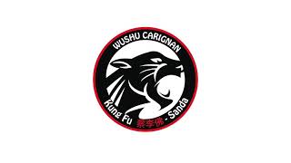 Wushu Carignan | Sanda Gabriel