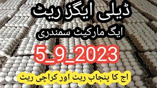 eggs rate  daily market pakistan|| Punjab rate|| Karachi rate#eggprice