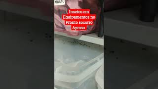 Cadê a fiscalização 😱😱😱😱