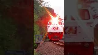 KA PURWOJAYA #kai #keretaapi #keretaapiindonesia #sepur #railroad #railway #railfan #kereta #rel