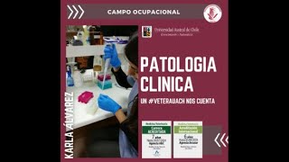 Campo Ocupacional Medicina Veterinaria - PATOLOGIA CLINICA - Experiencias Personales