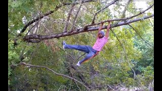 Horizontal tree climb and swing