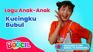 Kucingku Bubul | Tarian Seru Lagu Populer untuk Anak-Anak