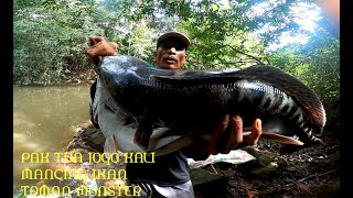 PAK TUA JOGO KALI MANCING IKAN TOMAN MONSTER