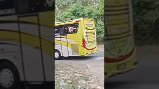 44 trans feat Wijaya Pratama tanjakan paduraksa Pemalang #busmania #huntingbus #fypシ #shortvideo