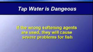 Water Tip - 3 - Tap Water is Dangerous