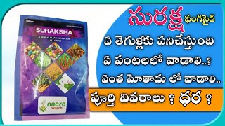 సురక్ష మందు మిరప పంటలో తెగుళ్లు మాయం || SURAKSHA FUNGICIDE USE IN TELUGU #SURAKSHA