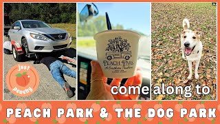 A quick trip to Alabama + lunch at Peach Park | Come along to the dog park | Get ready with me