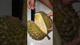 Duren Bawor #duren #durenlokal #kebumen