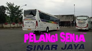 Hunting sore armada sinar jaya purbalingga