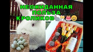 ДОМИНАНТЫ МЕНЯЮТ ЦВЕТ ЯИЦ! НЕОЖИДАННАЯ ПОЛЬЗА КРОЛИКОВОДСТВА))🐇🍾🥂🎂😀