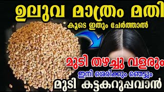 ഉലുവ ഉണ്ടോ വീട്ടിൽ?? മുടി കട്ടിലും നീളത്തിലും വളർത്താം /uluva hair care/poppy vlogs/malayalam