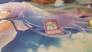 1st Place Zoodiac Deck Profile March 2017