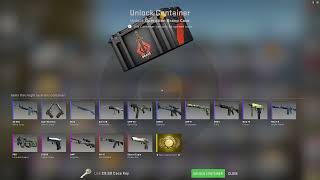 Opening a CSGO Bravo Case...