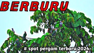 MANTAP JIWA👍👍 ‼️// BERBURU PERGAM & PUNAI // PERGAMNYA MAIN KROYOKAN